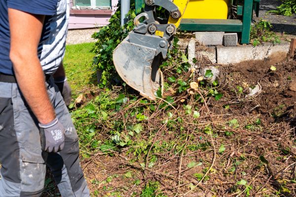 Hedge Removal Service in Elk Grove