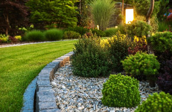 Bush Relocation in Elk Grove