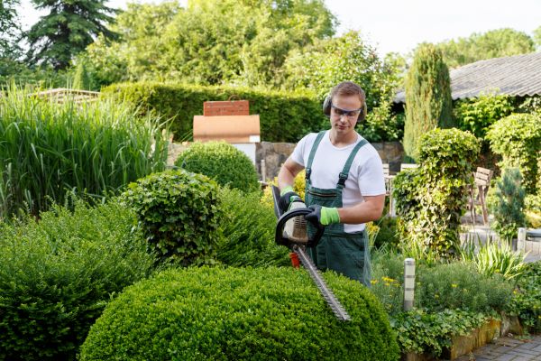 Shrubs Trimming in Elk Grove
