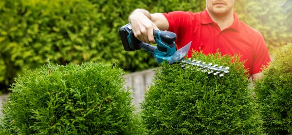 Hedge Shaping Service in Elk Grove